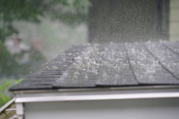 Best Roof Leak Repair  in Red Lodge, MT